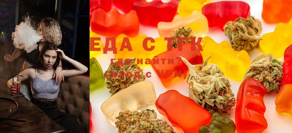 гашик Чегем